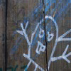 Thumbnail Picture